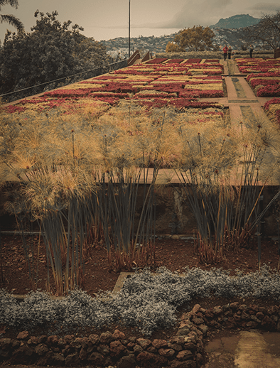 Botanical Garden Funchal
