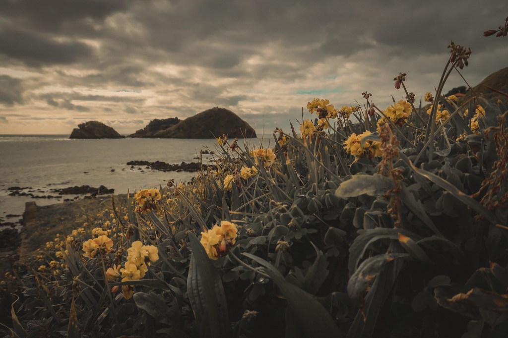 Island in the Oceanic Desert: São Miguel Island, Azores, Portugal