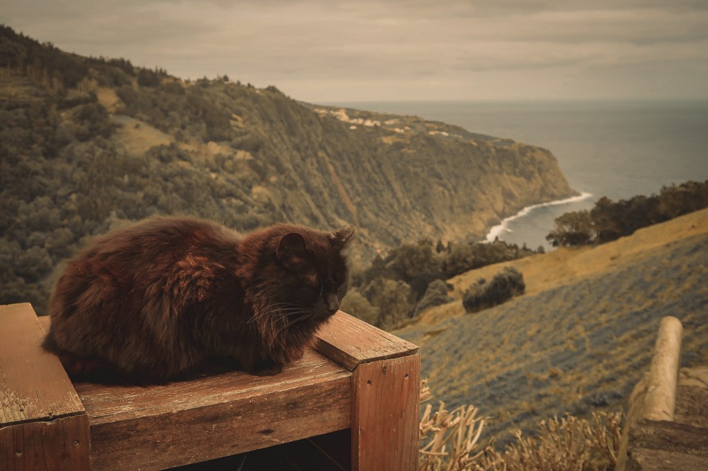 Lookout point near Nordeste, Azores